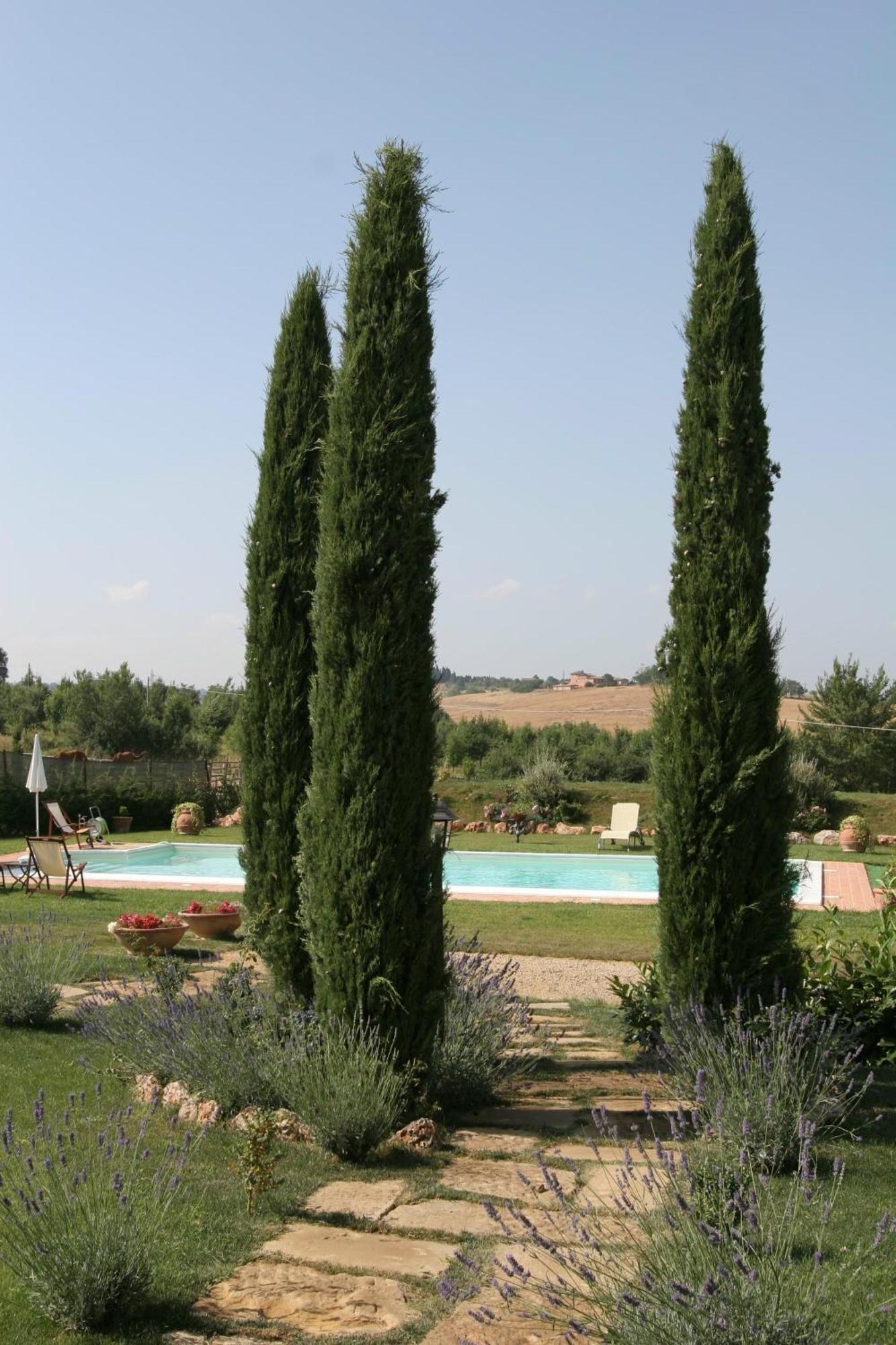 Agriturismo Renaccino Villa Siena Exterior photo